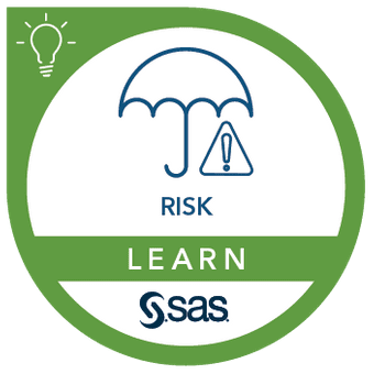 SAS Infrastructure for Risk Management: Overview