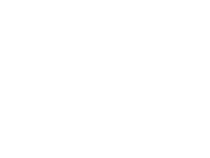 carrefour logo